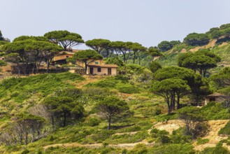 Holiday homes at Punta della Ciarpa, Elba Island, Tuscan Archipelago National Park, Tuscany, Italy