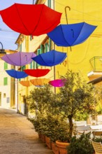 Coloured umbrellas span the Via Cavour, Capoliveri, Elba Island, Tuscan Archipelago National Park,