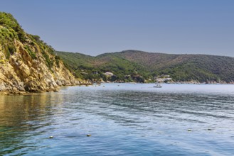 Rocky cliffs in the Golfo di Viticcio, Elba Island, Tuscan Archipelago National Park, Tuscany,