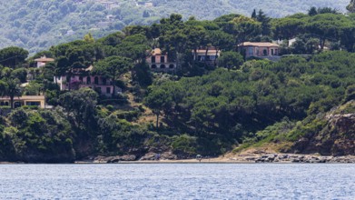 Holiday homes on the hill of Capo Perla, near Capoliveri, Elba Island, Tuscan Archipelago National