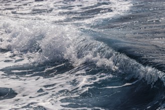 Foaming seawater wave, Elba Island, Tuscan Archipelago National Park, Tuscany, Italy