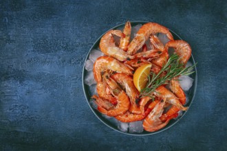 Freshly frozen shrimp on ice, with lemon and rosemary, on a dark blue table, top view, no people