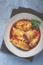 Stuffed cabbage rolls with minced meat, in tomato sauce, top view, without people, in the spotlight