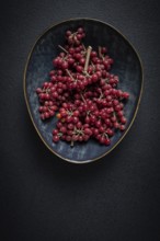 Shtoshi berry, Shepherd's pie, a hybrid of sea buckthorn and barberry, top view, no people