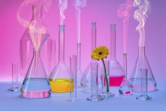 Variety of partly filled laboratory glassware including a flower head and some smoke in colorful