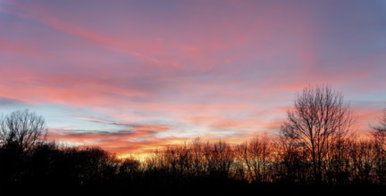 A colorful sundown including some clouds behind some leafless treetop silhouettes