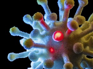 Detail of a symbolic virus in black back