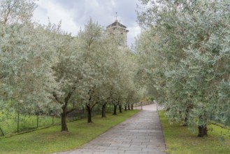 Impression around the Piona Priory or Piona Abbey, a religious complex on the Lecco bank of Lake