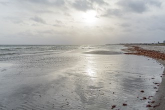 Scenery around Olpenitz, a part of the town Kappeln in Schleswig-Holstein, Germany, at the mouth of