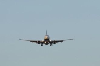 Boeing 737 jet passenger aircraft of Ryanair airlines in flight landing at London Stansted airport,