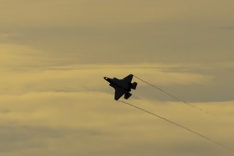 Lockheed Martin F-35 Lightning II fighter military aircraft of the United States air force USAF