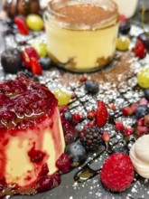 Various desserts with berries and chocolate, skilfully arranged on a plate Lower Austria Austria