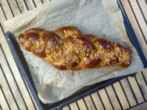Braided yeast plait with almond slivers on a baking tray with baking paper Lower Austria Austria