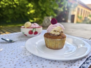 Summer dessert with cupcake, ice cream and raspberry on a plate in the garden Lower Austria Austria
