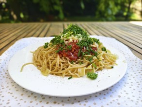 Fresh spaghetti with tomatoes and herbs on a plate outside on a wooden table Lower Austria Austria