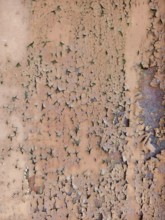 Pink peeling paint with cracked texture on a surface Lower Austria Austria