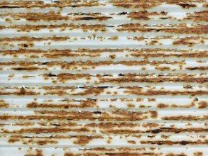 Rusty metal surface with brown and white structures in horizontal lines Lower Austria Austria
