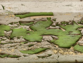 Peeling green paint on a weathered wooden base Lower Austria Austria