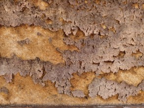 Brown-rusty flaking on a damaged metal surface Lower Austria Austria