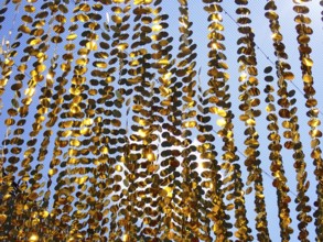 Golden garlands shine in the sun as a background, North Rhine-Westphalia, Germany