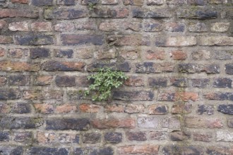 Old stone wall as background, vintage, North Rhine-Westphalia, Germany
