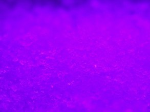 Purple illuminated ice crystals as background, blurred background, North Rhine-Westphalia, Germany