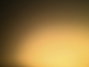 Yellow area with brightening light gradient to the bottom right as background, North