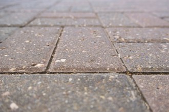 Paving stones as background, blurred background, North Rhine-Westphalia, Germany