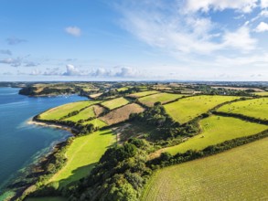 Farms and Fields over St Mawes from drone, Carrick Roads, River Fal, Falmouth, Cornwall, UK