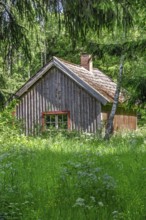 Idyllic wooden cottage in a glade by a spruce forest with a meadow of blooming wildflowers in