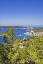 Rocky coastline with a scenic sea view of the blue Mediterranean Sea and lush trees on a sunny