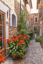 Picturesque alley with beautifully blooming flowers by the wall at an entrance to a residential