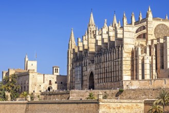 View at the Palma Cathedral of Santa Maria of Palma with tourist outside on the terrace a sunny