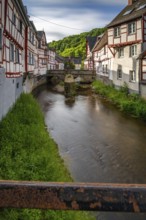 A historic half-timbered village in the morning. Beautiful light in Monreal im Elztal,
