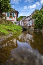 A historic half-timbered village in the morning. Beautiful light in Monreal im Elztal,