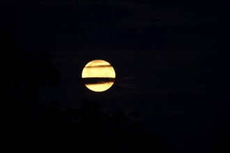 Moon on a summer night, Germany
