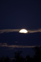 Moon on a summer night, Germany