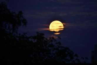 Moon on a summer night, Germany