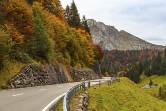 Pass road to Schwägalp through autumn landscape, Canton Appenzell Ausserrhoden, Switzerland