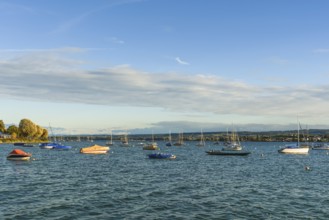 Boats anchored in front of the lakeshore in Allensbach, Lake Constance, Baden-Württemberg, Germany