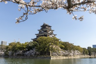 Hiroshima Castle, also known as Carp Castle, against a blue sky with cherry blossoms, sakura, and