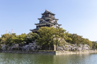 Hiroshima Castle, also known as Carp Castle, against a blue sky with cherry blossoms, sakura, and