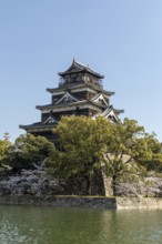 Hiroshima Castle, also known as Carp Castle, against a blue sky with cherry blossoms, sakura, and