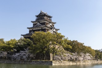 Hiroshima Castle, also known as Carp Castle, against a blue sky with cherry blossoms, sakura, and