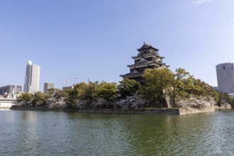Hiroshima Castle, also known as Carp Castle, against a blue sky with cherry blossoms, sakura, and