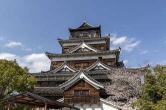 Hiroshima Castle, also known as Carp Castle, in front of a blue sky with cherry blossoms, Sakura,
