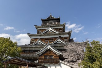 Hiroshima Castle, also known as Carp Castle, in front of a blue sky with cherry blossoms, Sakura,