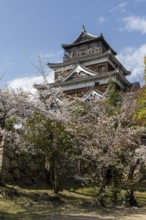 Hiroshima Castle, also known as Carp Castle, in front of a blue sky with cherry blossoms, Sakura,