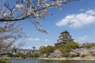 Hiroshima Castle, also known as Carp Castle, against a blue sky with cherry blossoms, sakura, and