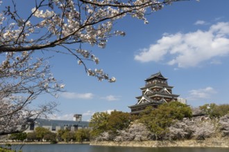 Hiroshima Castle, also known as Carp Castle, against a blue sky with cherry blossoms, sakura, and